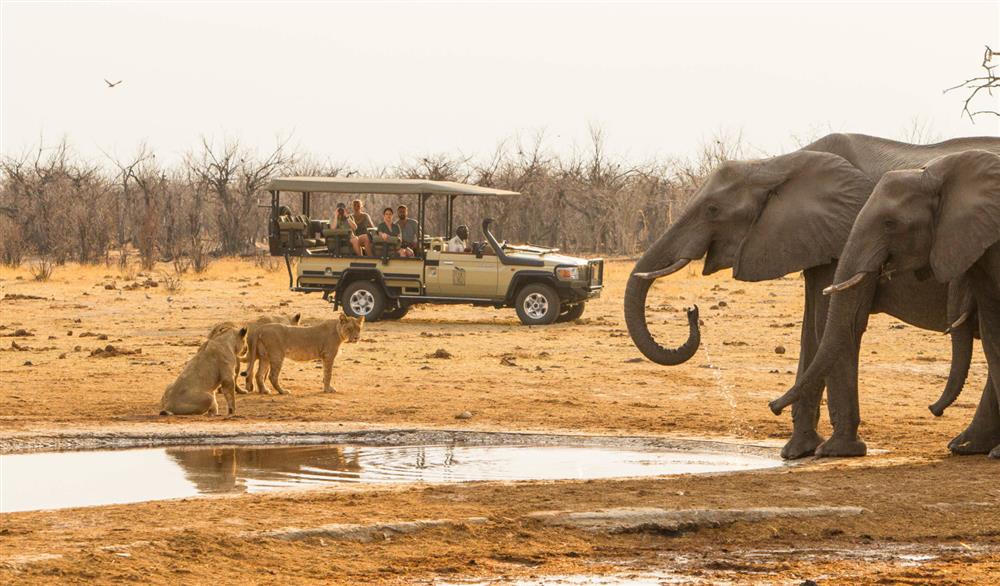 Savute Safari Lodge 